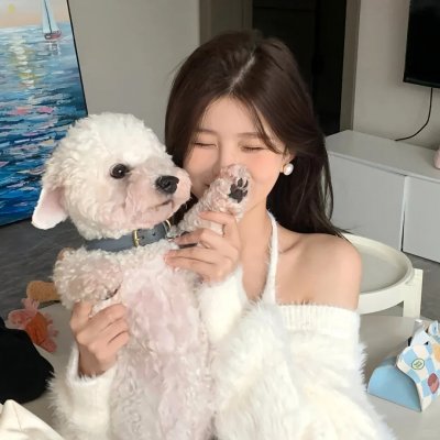 左轮百合